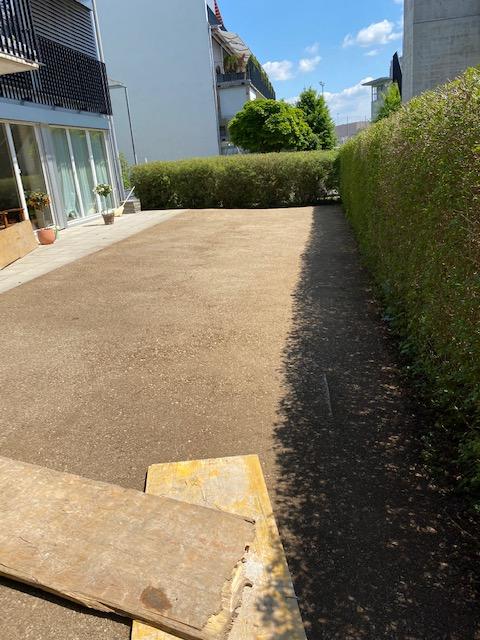 Rasen vor der Sanierung